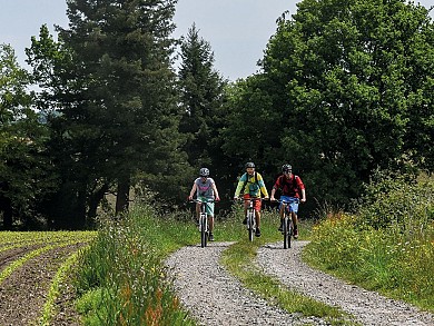 Ouillon : chemin des bergers à VTT