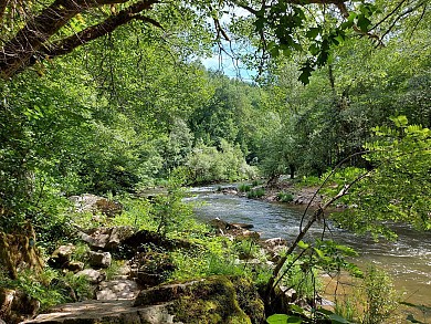 Le petit tour de Mergieux, circuit n°7 - Najac