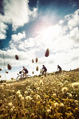 Boucle n°10 - COEX - agréée Accueil Vélo