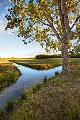 CIRCUIT N°15 - GIVRAND