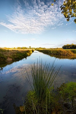 Boucle N°15 - GIVRAND