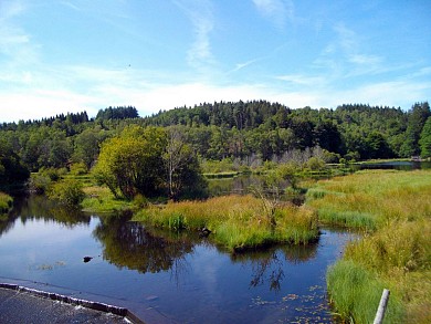 VTT - Gravel - Circuit des Croix - 19 km - cir ...