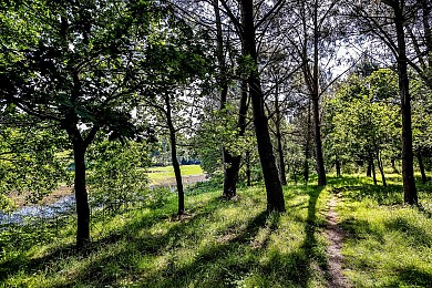 CIRCUIT LE GUÉ GORAND N°20