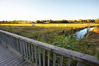 CIRCUIT DU BELVEDERE N°19