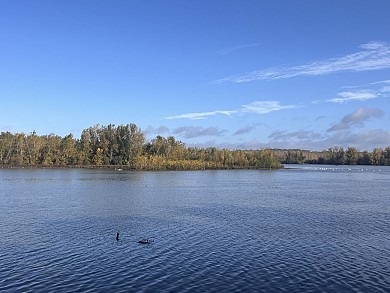 Bird observatory walking trail
