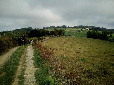 Contrazy - Circuit du bout de la forêt