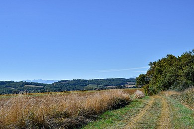 Le sentier de l'Aigle Botté