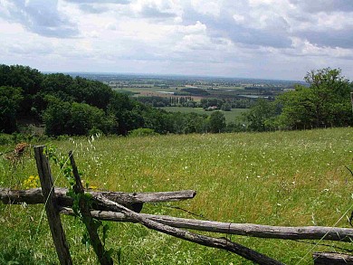 Les coteaux d'Ardus - PR1 Lamothe-Capdeville