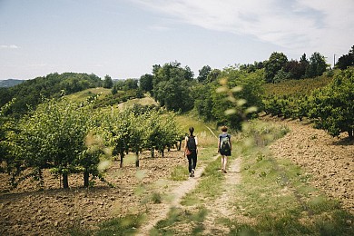 Les vallons du Fau - PR6 Montauban