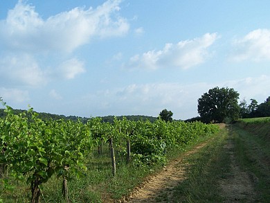 Chemin des Coteaux (Trie Sadournin)