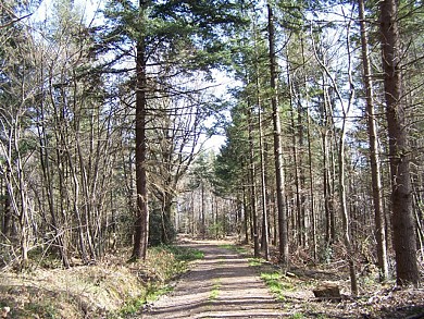 Chemin des seigneurs (Antin, Lubret St-Luc)