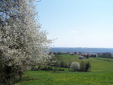 Chemin des Sources (Fontrailles, Sarraguzan, B ...