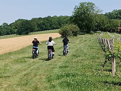 Vignes et paysages en Vae au Domaine du Moulié