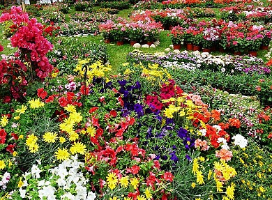 Saint-Jean-de-Cole en écomobilité - un village ...