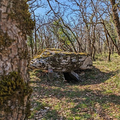 Circuit des dolmens - Départ de la grotte - Fo ...