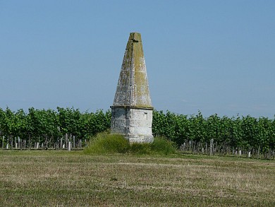 Arces / Barzan : les coteaux de l'estuaire