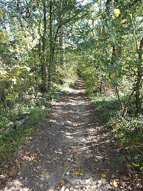 Aux Portes du Tarn-et-Garonne