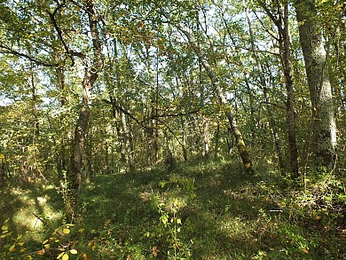 Vers la Chapelle d'Aureillac