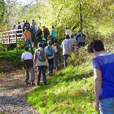 Terres de Haute Charente sentier de l'arbre