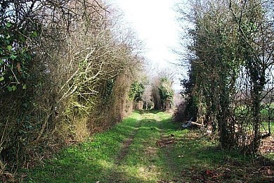 Turgon sentier des sangliers