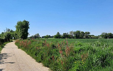 Le Champ Martin - Saint Mathurin