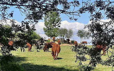 Le Giraudet - Saint Mathurin