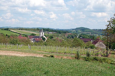 Autour du vignoble