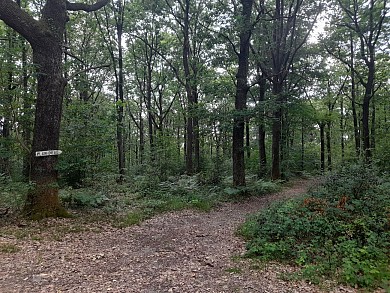 Circuit du plan d'eau