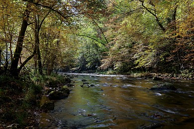 Job, aux portes de la Luzège