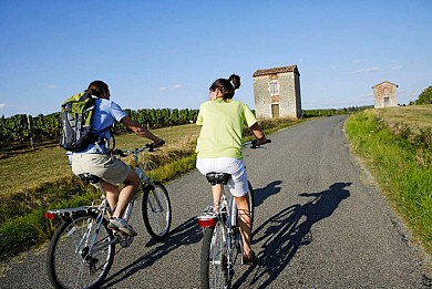 Sur la Route des Vignes