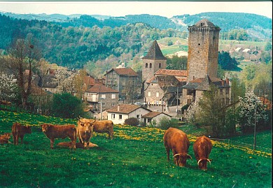 Dans les Châtaigneraies du Ségala