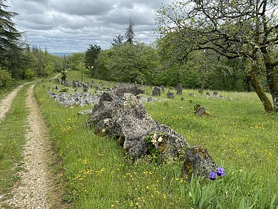 Chemin de Boissièrette