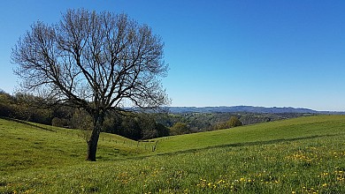 De Teyssieu à Estal