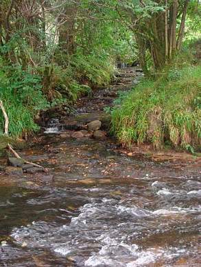 Les Vieux Chemins d'Auvergne