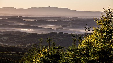 Les Hêtraies de Péret-Bel-Air