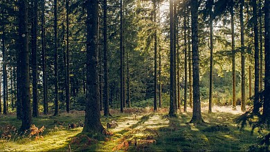 Les Roches de Scoeux