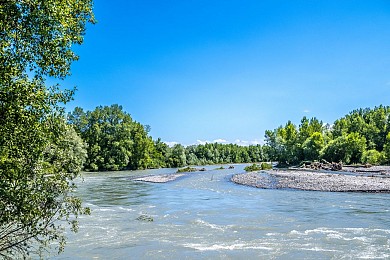 Siros - Mémoire de Saligue