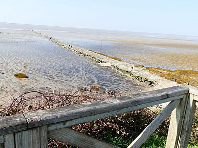 Esnandes : un village au bord de la réserve na ...