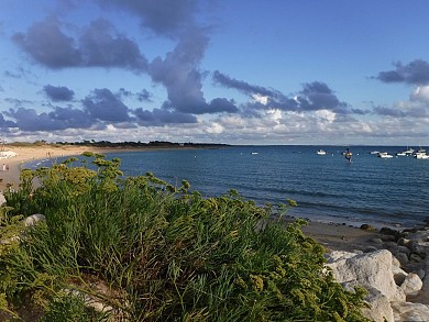 Dolus-d'Oléron : dunes et marais