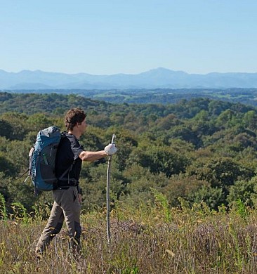 De Maslacq à Navarrenx