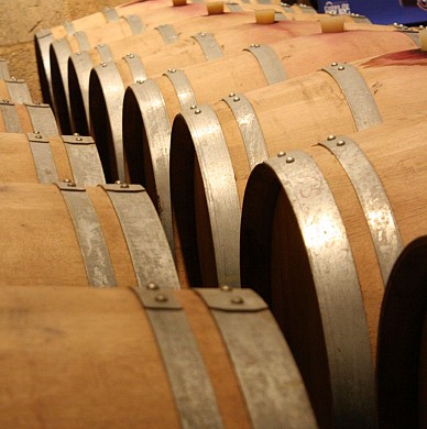 Organic wine tour & bicycle #2