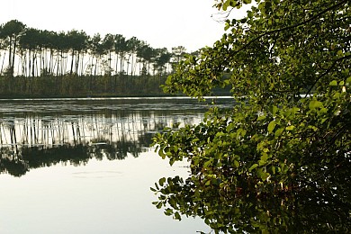 Le circuit rouge des étangs