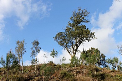 Le circuit bleu des "tucs"