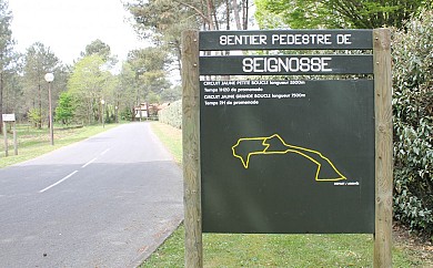 Le circuit jaune du golf