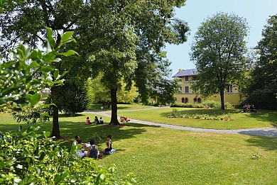 2 - Découverte des Herbiers