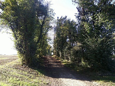 Moragne : fermes et hameaux