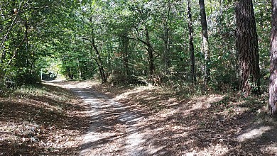 Neuvicq : la vallée du Mouzon