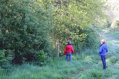 1 - Mesnard la Barotière - La Tricherie-La Tui ...