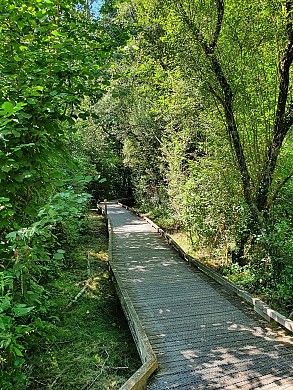 4 - Les Epesses - Sentier de la Bridurière