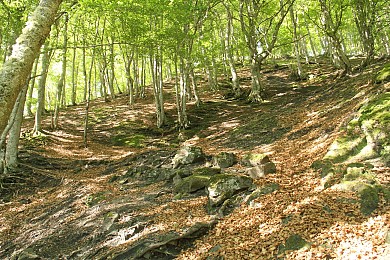 45 - VAL D'ESQUIERRY